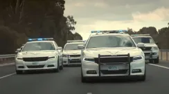 кадр з фільму Мангуст